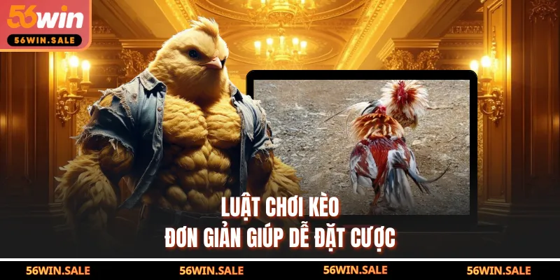 Luật chơi kèo đơn giản giúp dễ đặt cược