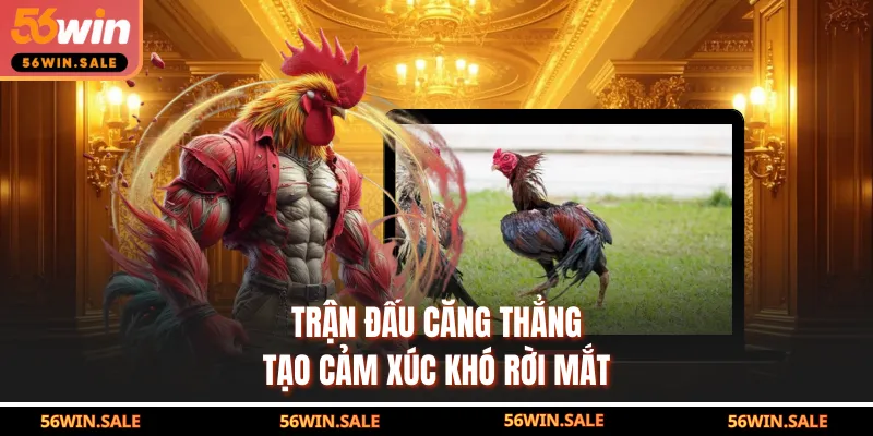 Trận đấu căng thẳng tạo cảm xúc khó rời mắt